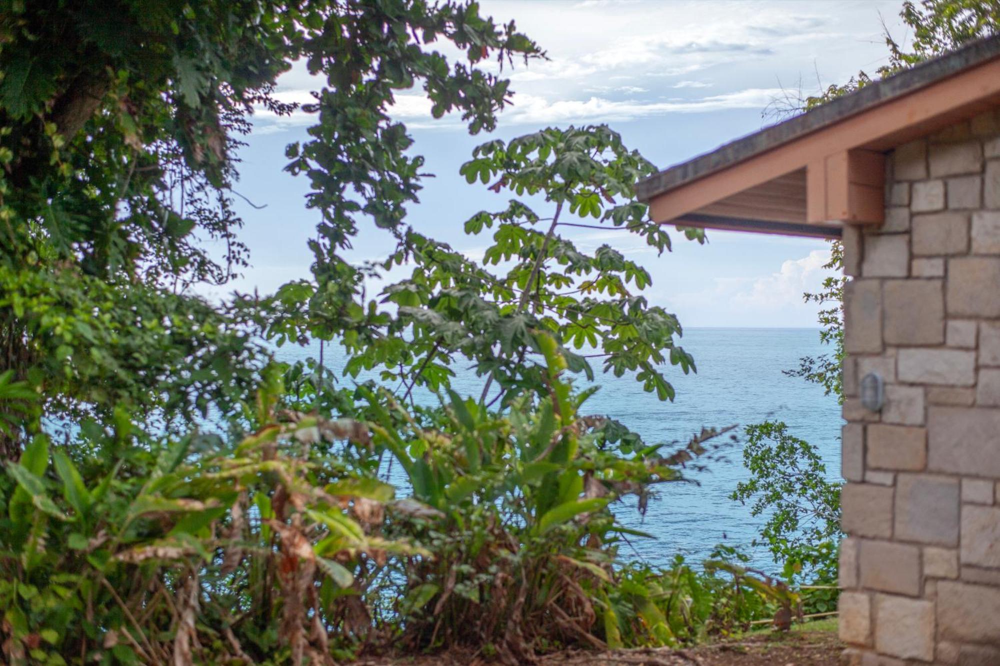 Frenchman'S Cove Resort Port Antonio Extérieur photo